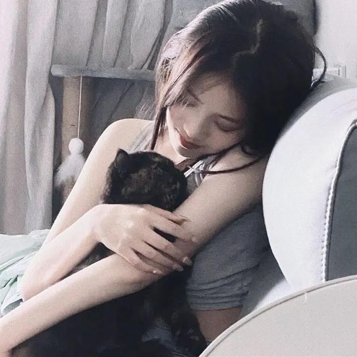 巴里布 在线观看