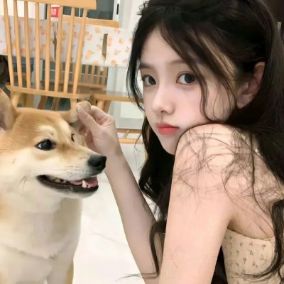 完美家伙 在线观看